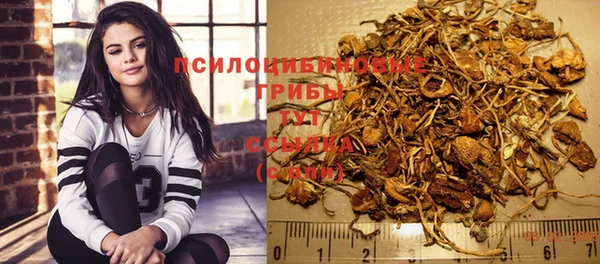 спиды Майский