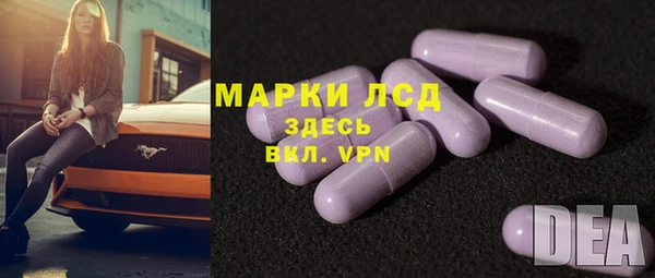 дживик Магас