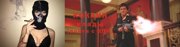 спиды Майский