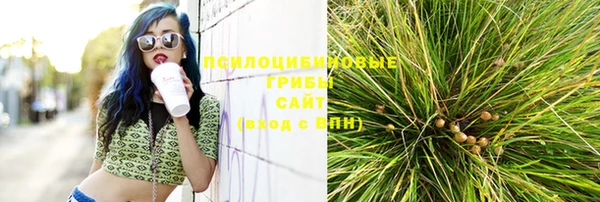 дживик Магас