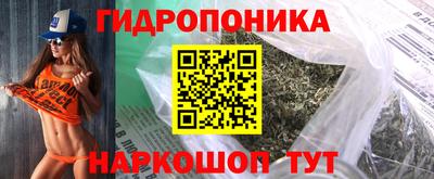 индика Жуковский