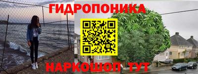 стафф Заволжье