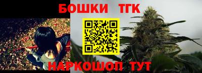 индика Жуковский