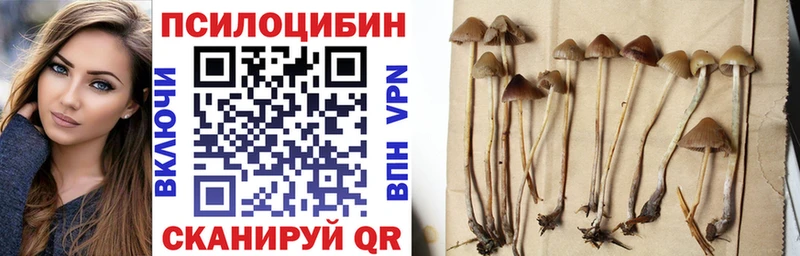 где можно купить Жуковский Галлюциногенные грибы Cubensis