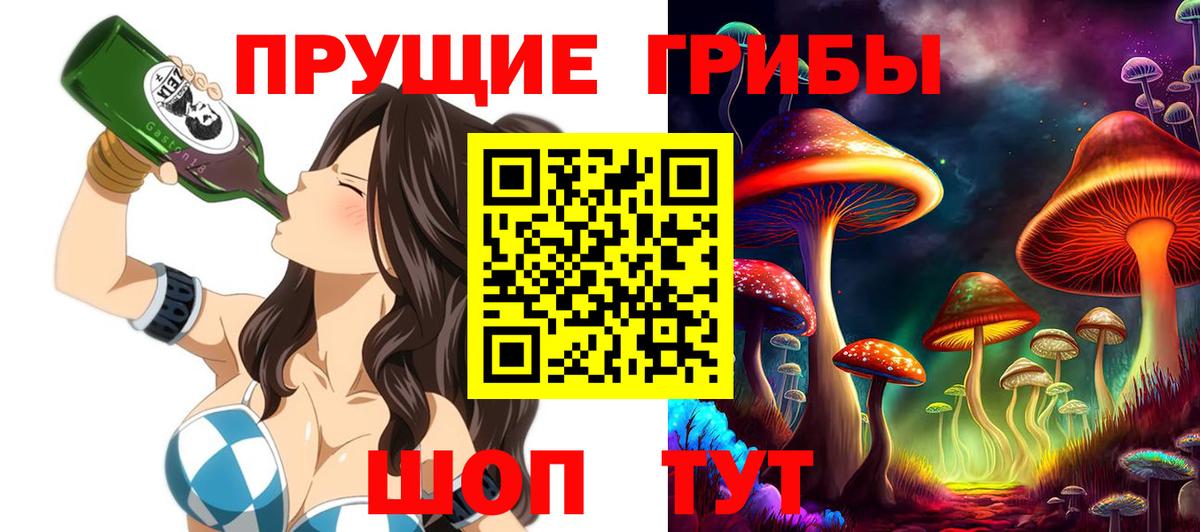Галлюциногенные грибы прущие грибы  Псилоцибиновые грибы GOLDEN TEACHER  Жуковский  Вход с VPN 